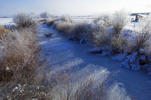 Tin Cup Creek 2